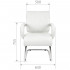 Кресло посетителя CHAIRMAN 445 Натуральная кожа COW Белый